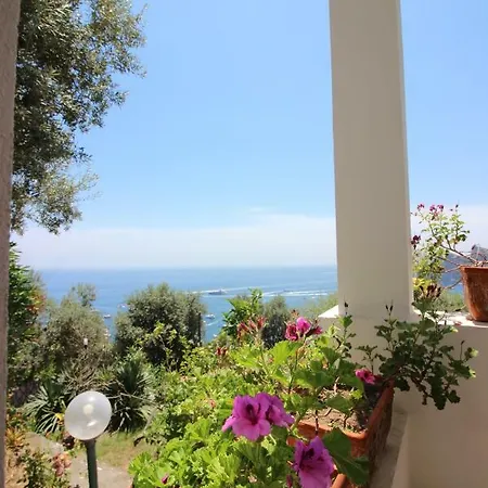 Happy House Holiday home Nerano